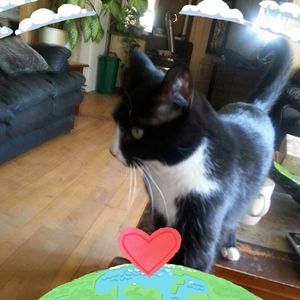 Meet your Posher, Judy